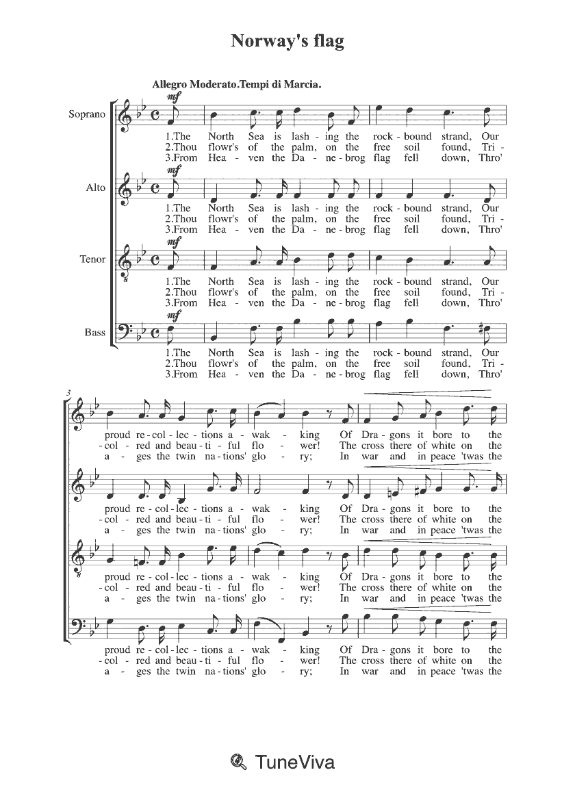 Norway's flag